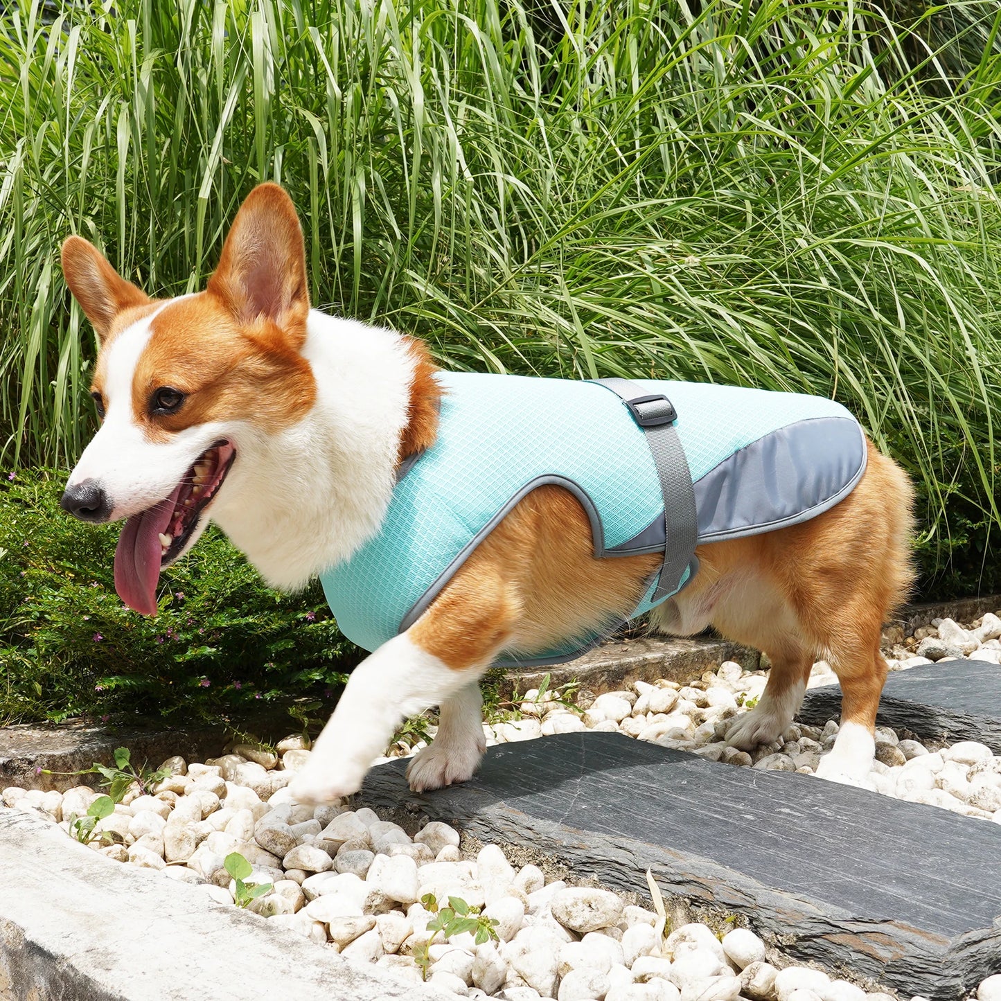 Cooling Vest - Breathable Dog Vest for Hot Summer Days - Adjustable & Lightweight Cooling Jacket with Reflective Strips
